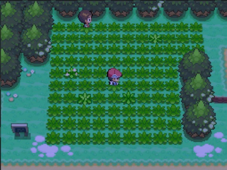 How to Use the Pokéradar in Pokémon Diamond, Pearl, and Platinum
