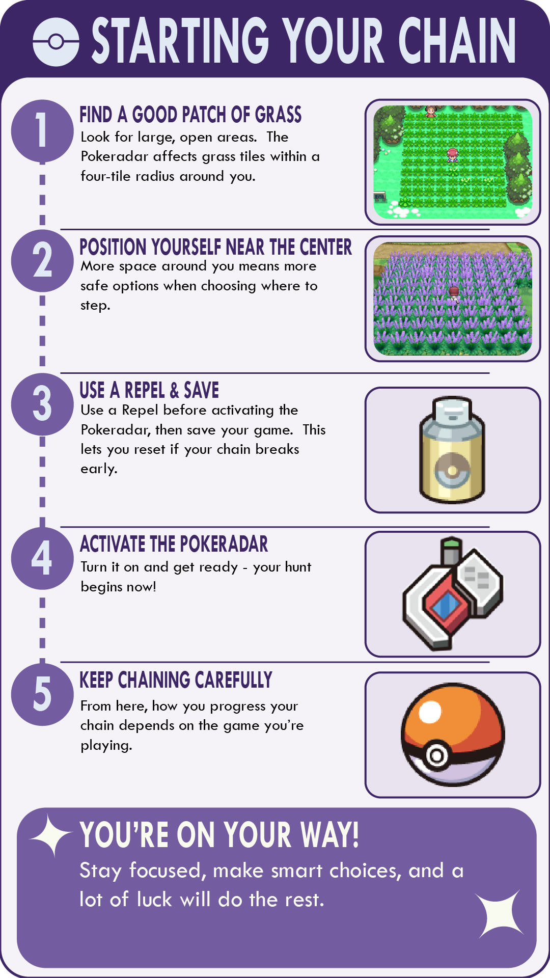 Process Pokemon PokéRadar Shiny Hunting Guide: How to Prepare Before Chaining
